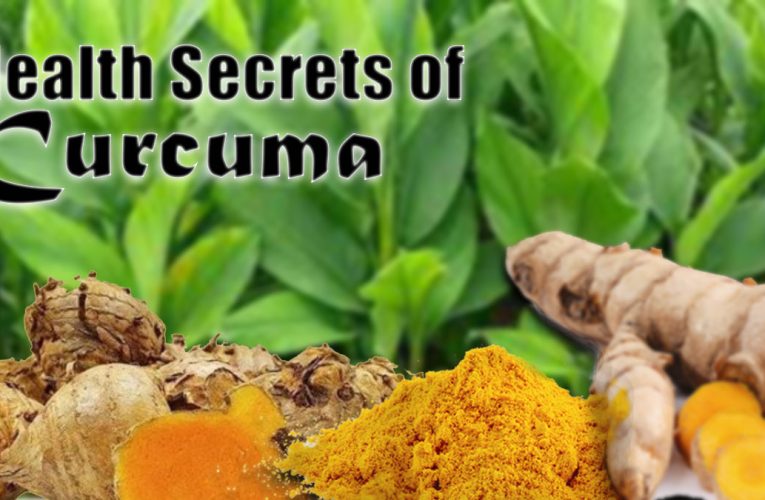 The Miracle of Curcuma: Extraordinary Benefits