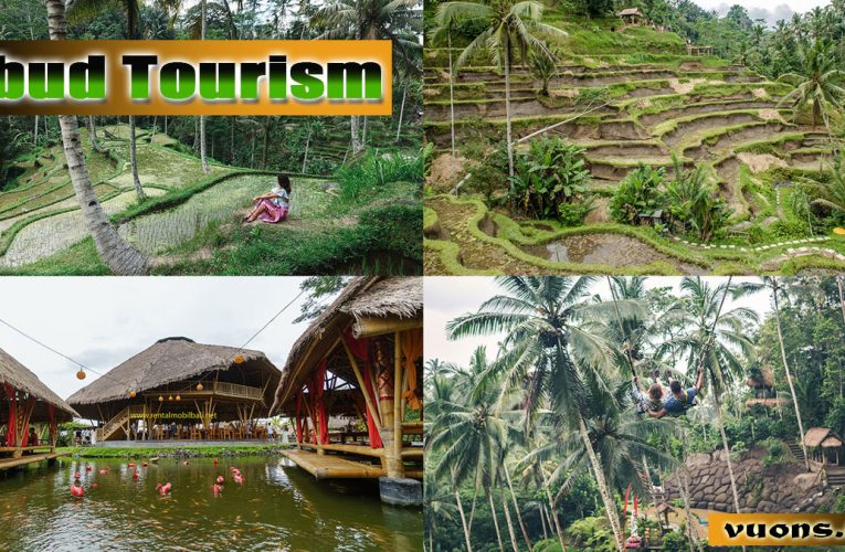 Ubud tourism