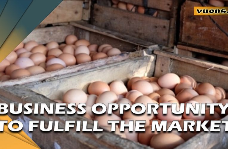 BUSINESS OPPORTUNITY TO FULFILL THE MARKET