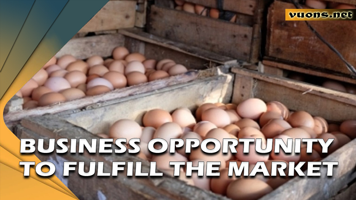 BUSINESS OPPORTUNITY TO FULFILL THE MARKET