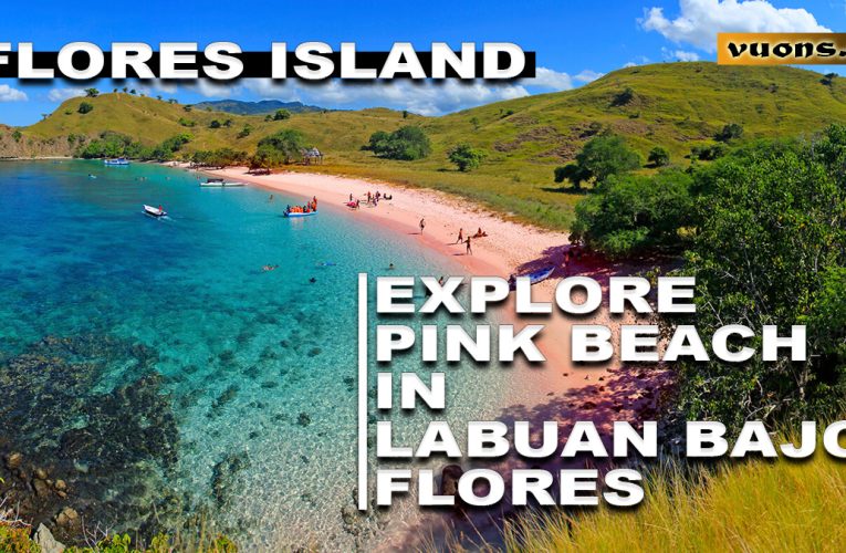 Pink Beach: A Hidden Paradise on the Amazing Island of Flores