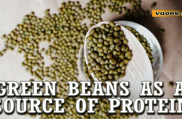 Green Beans as a Good Source of Vegetable Protein