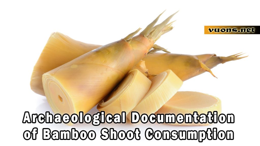 Archaeological Documentation of Bamboo Shoot Consumption