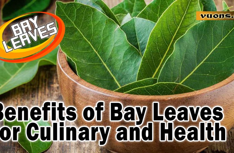 Bay Leaves: From Cooking Spices to Natural Medicine