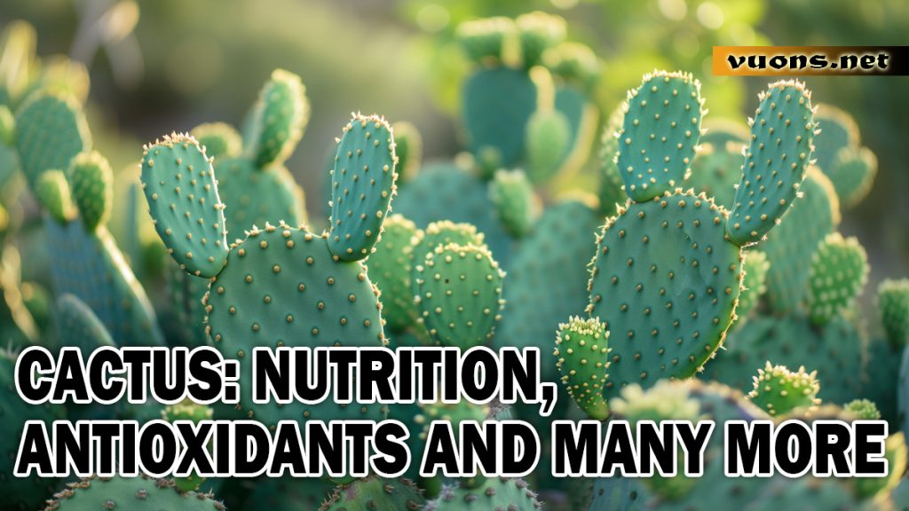 CACTUS NUTRITION ANTIOXIDANTS AND MANY MORE