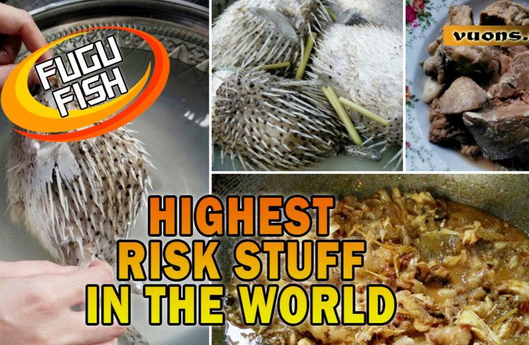 Pufferfish: A High Risk Dish in the Culinary World