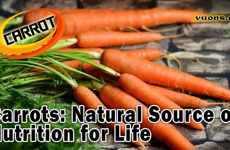 Carrots: Natural Source of Nutrition for Life