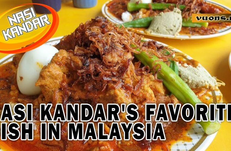 Culinary Guide: Enjoy the Best Nasi Kandar in Penang