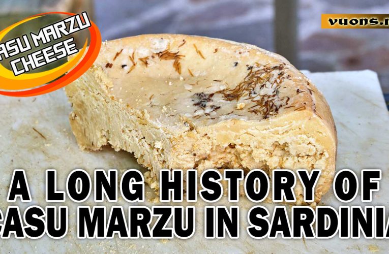 Casu Marzu: Sensation of Live Larvae in Every Bite