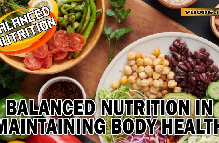 Balanced Nutrition in Maintaining Body Health