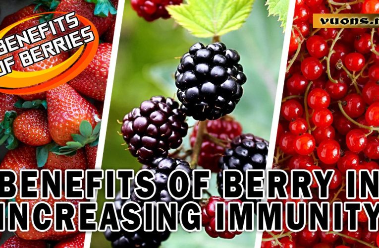 The Secret to Heart Health by Consuming Berries