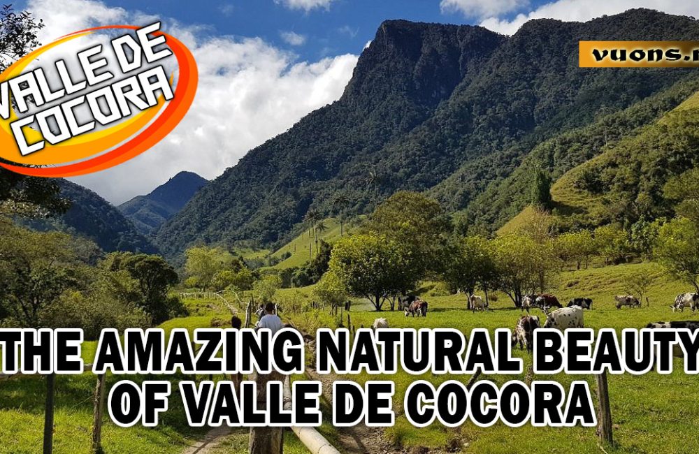 VALLE DE COCORA