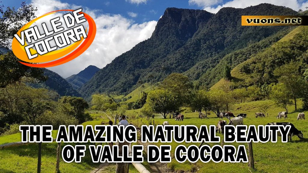 VALLE DE COCORA