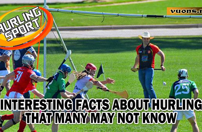 Why Hurling Is Called The Fastest Sport In The World