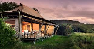 Masai Mara the most amazing safari paradise in Kenya VUONS