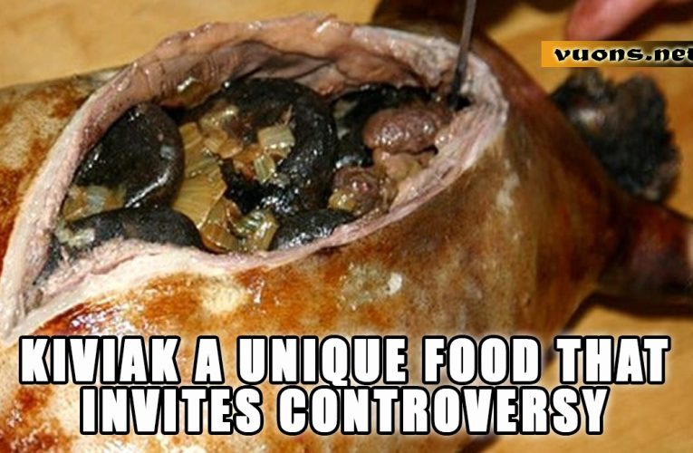 Kiviak A Unique Food That Invites Controversy
