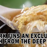 SHARK FINS AN EXCLUSIVE DISH FROM THE DEEP SEA