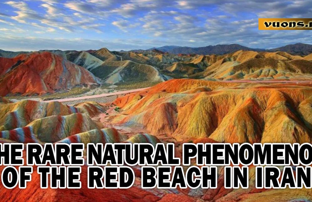 THE RARE NATURAL PHENOMENON OF THE RED BEACH IN IRAN