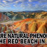 THE RARE NATURAL PHENOMENON OF THE RED BEACH IN IRAN