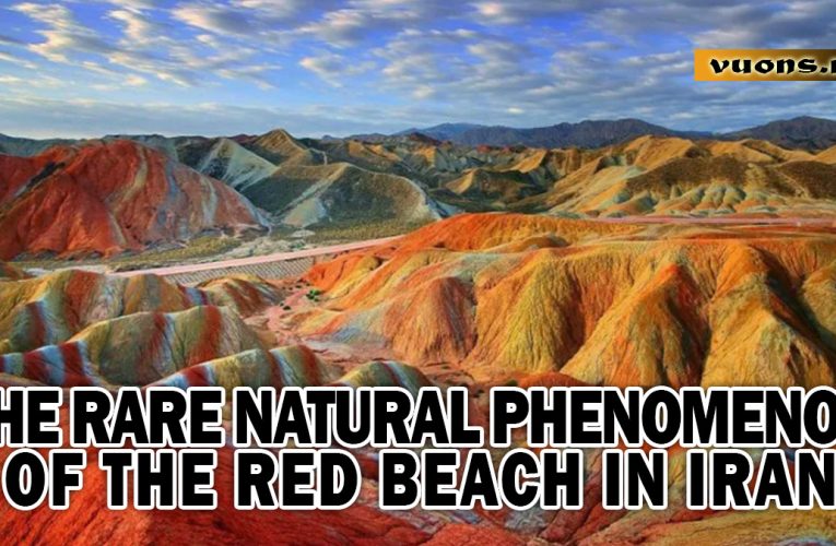 THE RARE NATURAL PHENOMENON OF THE RED BEACH IN IRAN