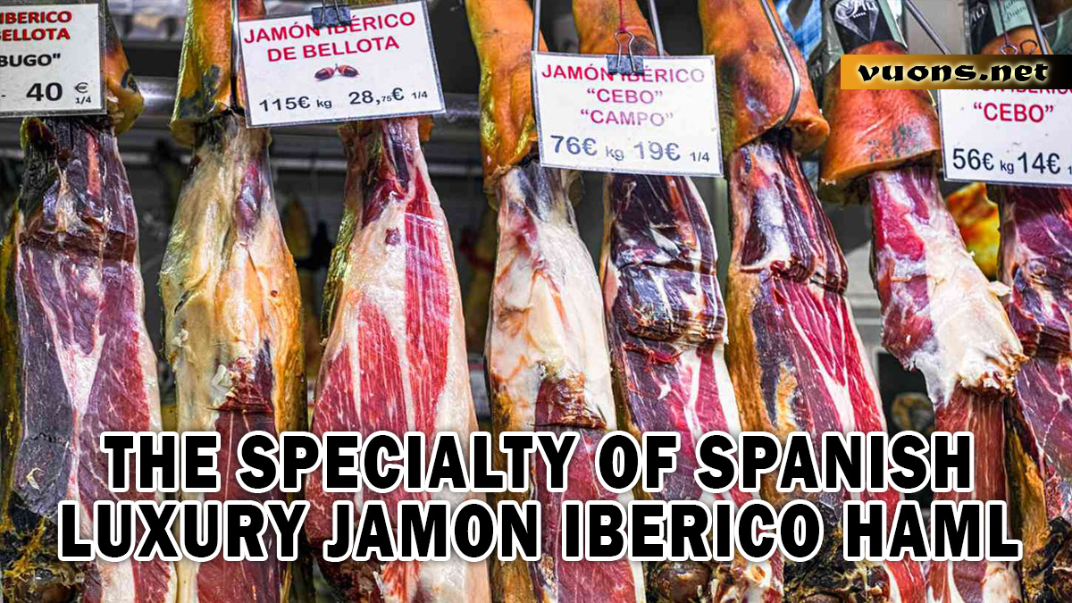 THE SPECIALTY OF SPANISH LUXURY JAMON IBERICO HAML