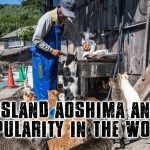 CAT ISLAND AOSHIMA AND ITS POPULARITY IN THE WORLD