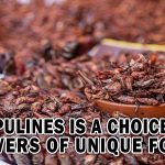 CHAPULINES IS A CHOICE FOR LOVERS OF UNIQUE FOOD