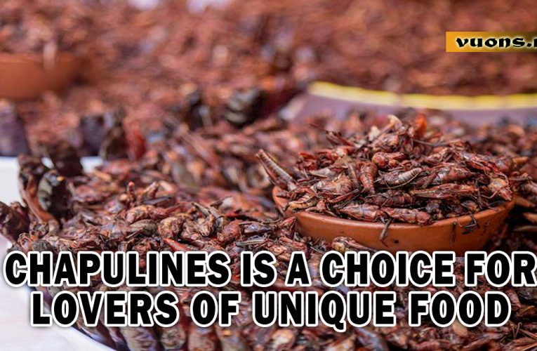 Chapulines is a choice for lovers of unique food