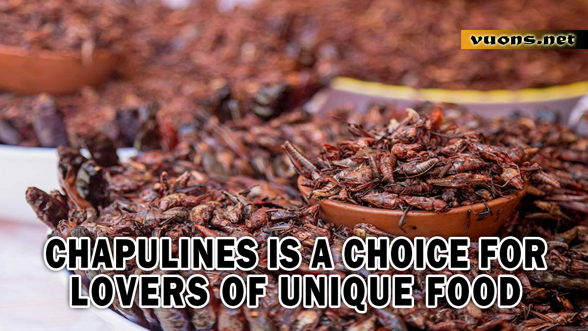 CHAPULINES IS A CHOICE FOR LOVERS OF UNIQUE FOOD