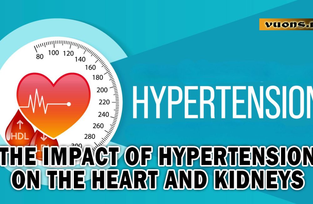 The Impact of Hypertension on the Heart and Kidneys