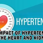 The Impact of Hypertension on the Heart and Kidneys