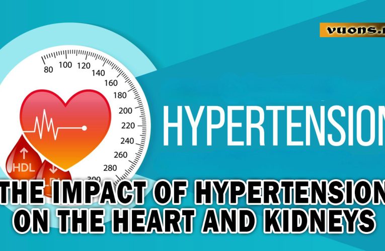 The Impact of Hypertension on the Heart and Kidneys