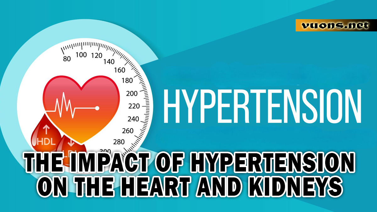 The Impact of Hypertension on the Heart and Kidneys